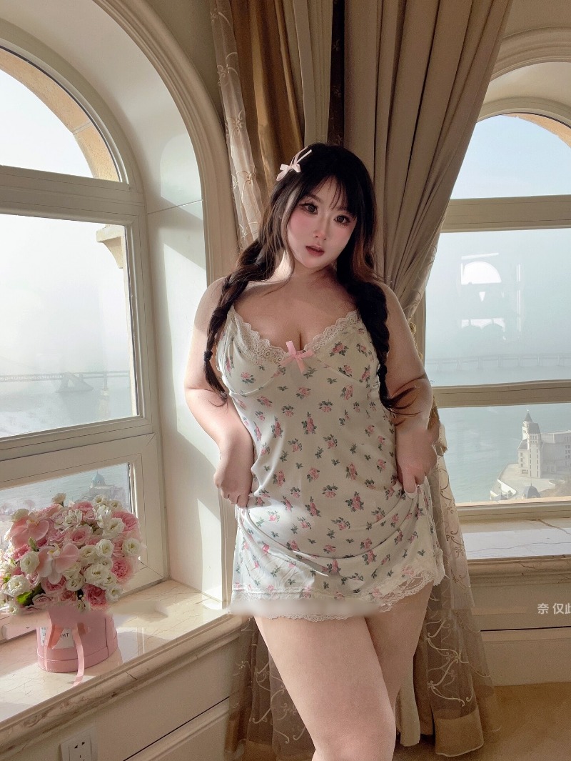 Sexy Plus Size Lingerie da don - Babydoll Chemise Night recensione e prezzo
