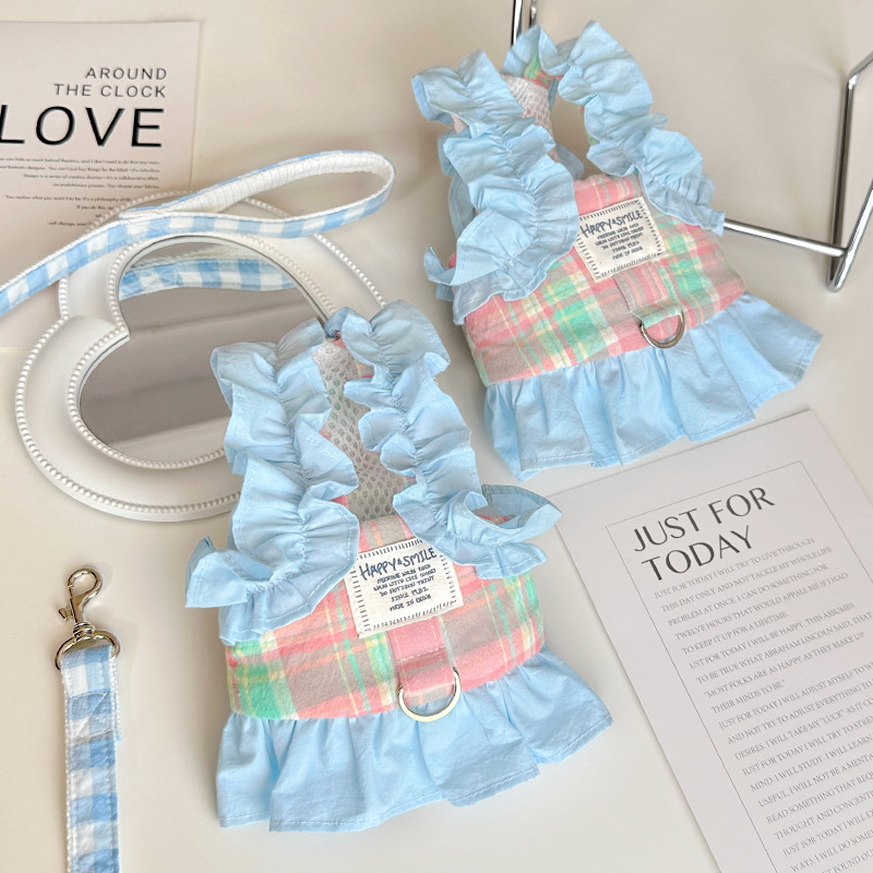 Set Pettorina e Guinzaglio per - Lace Teddy Lingerie recensione e prezzo